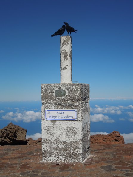 Roque de los muchachos