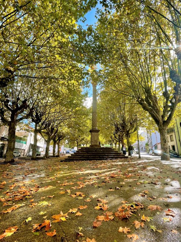 Es wird Herbst in Braga