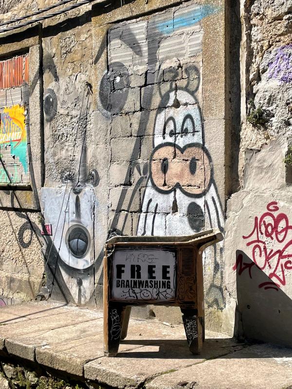 Free Brainwashing in Porto