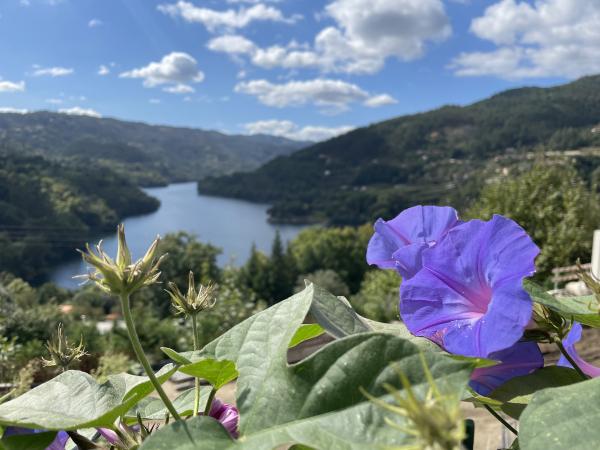 Blick auf den Fluss Cávado