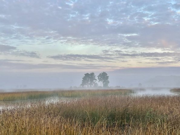 Morgendlicher Blick aus dem Van / Schweden 2022