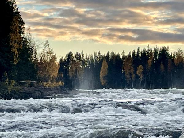 Der Fluss Piteälven/ Nordschweden