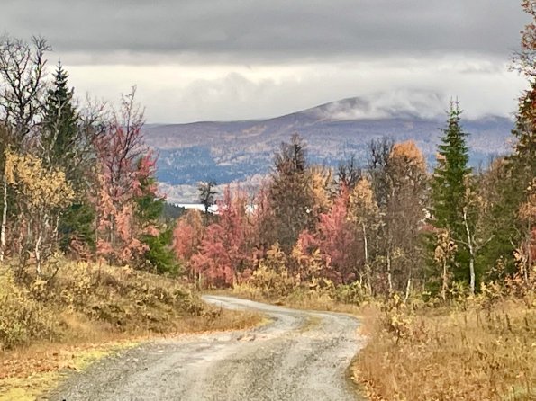 Gäddede/Jämtland