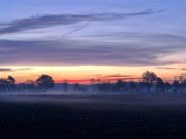 Sonnenaufgang im Moor