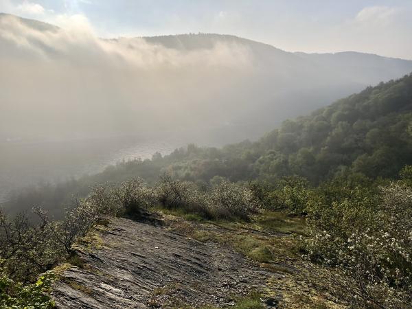 Morgennebel auf dem Rheinburgenweg 2023